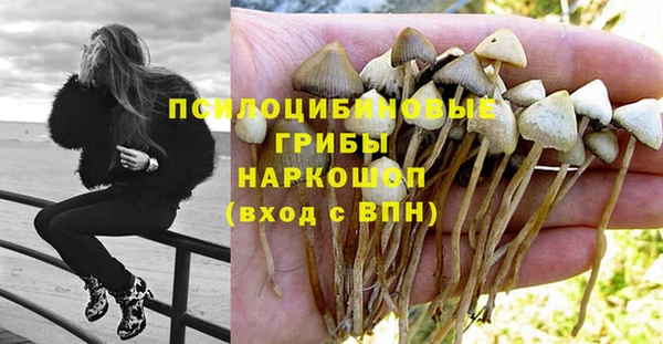 spice Лихославль