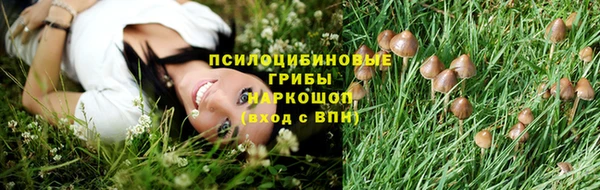 spice Лихославль